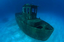 Wreck of tugboat ''Blue Plunder'', Nassau, Bahamas. One year after sinking. July 2008.
