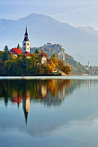 Lake Bled with Bled Island and the Assumption of Mary's Pilgrimage Church (Bled Castle in the distance) Bled, Gorenjska, Slovenia, October 2008