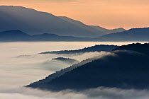 Dawn over Ljubljana Basin shrouded in mist, looking towards Kamnik Alps, Tehovec, Slovenia, June 2008