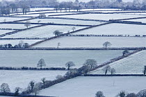 View of frost covered fields and hedgerows in the Preseli Hills, Pembrokeshire Coast National Park, Pembrokeshire, Wales, UK, November 2008