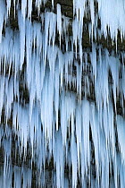 Icicles on frozen Slap Pericnik, Vrata Valley, Gorenjska, Triglavski National Park, Julian Alps, Slovenia, January 2006