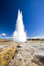 Tourists watching eruption of The Strokkur, the biggest geyser active in the Geysir area, SW Iceland, sequence 3/11. July 2008