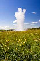 Tourists watching eruption of The Strokkur, the biggest geyser active in the Geysir area, SW Iceland. Sequence 2/2. July 2008