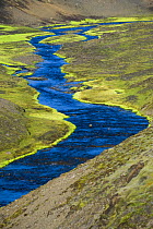 Riverine landscape on the way to Landmannalaugar, south Iceland. July 2008