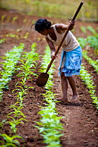 Young woman cultivating crops at home for homeless women and orphans, Tananarive, Madagascar, October 2006