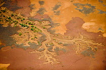 Aerial view of Tsiribina river near the sea at low tide, West Madagascar, November 2008