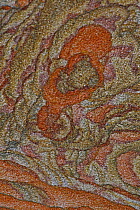Close-up of sandstone, showing patterns, part of the Shinarump formation, Northern Arizona / Utah, USA
