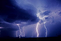 Lightning over the Sonoran Desert, Arizona, USA