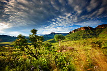The Ampitheatre, Royal Natal National Park, Drakensberg Mountains, KwaZuluNatal, South Africa