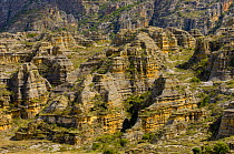 Eroded sandstone rocks in landscape, Isalo National Park, South Madagascar, April 2007