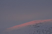 Dovrefjell National Park with pink sunlight, Norway, February 2009