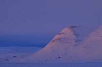 Mountain in Dovrefjell National Park, Norway, February 2009