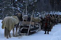 People walking and travelling by horse and sleigh to Roros market, started in 1854. Exhibitors and vendors come from a long way off, -35 degrees centigrade, Dovrefjell National Park, Norway, February...