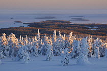 View over snow covered trees, with decreasing snow cover as altitude drops to a frozen snow covered lake in the distance, Riisitunturi National Park, Finland, February 2009