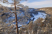 Partially frozen Kitkajoki River, Kuusamo, Oulanka National Park, Finland, February 2009
