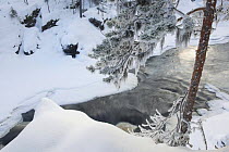 Partially frozen Kitkajoki River, Oulanka National Park, Finland, February 2009