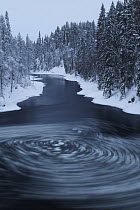 Whirlpool with pieces of ice in water, Kitkajoki River, Kuusamo, Oulanka National Park, Finland, February 2009