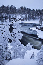 Ice being drawn into whirlpool, Kitkajoki River, Kuusamo, Oulanka National Park, Finland, February 2009