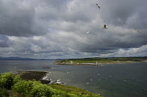 Penmon Point viewed from Puffin Island, Anglesey, North Wales, UK