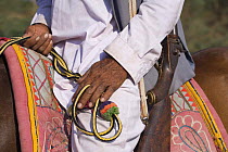 Close up of hands, reins and gun of traditionally dressed Indian gentleman on horseback, Gujarat, India, 2008