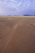 Track across the desert, Sossusvlei, Sesriem, Namib desert, Namibia, August 2008