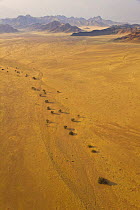 Aerial view of a dried water course in the Namib desert seen from a hot air balloon, Sossusvlei, Sesriem, Namib desert, Namibia, August 2008