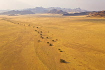 Aerial view of a dried water course in the Namib desert seen from a hot air balloon, Sossusvlei, Sesriem, Namib desert, Namibia, August 2008