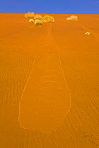 Patterns in the sand dunes, Sossusvlei, Sesriem, Namib desert, Namibia, August 2008