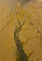 Aerial view of water flowing out of a salt pan near the atlantic coast, Walvis Bay, Namib desert, Namibia, August 2008