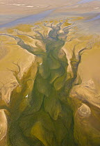 Aerial view of water flowing out of a salt pan near the atlantic coast, Walvis Bay, Namib desert, Namibia, August 2008