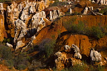 Cerro del Hierro (Iron hill), site of roman ancient iron mines, Parque Natural Sierra Norte, Sierra Morena,  Andalucia, Spain, February 2008
