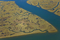 Aerial view of river tributaries, saltmarsh and coast, Punta Umbria, Costa de la Luz, Huelva, Andalucia, Spain, March 2008