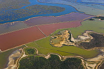 Aerial view of oyster or fish farming pools, river tributaries and saltmarsh, Odiel, Costa de la Luz, Huelva, Andalucia, Spain, March 2008