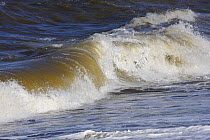 Wave breaking on seashore at high tide, Liverpool Bay, UK, October 2008