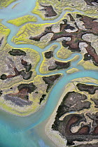 Aerial view of marshes with Seaweed exposed at low tide, Baha de Cdiz Natural Park, Cdiz, Andalusia, Spain, March 2008