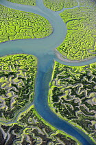 Aerial view of marshes with Seaweed exposed at low tide, Baha de Cdiz Natural Park, Cdiz, Andalusia, Spain, March 2008 WWE BOOK PLATE. Wild Wonders kids book.