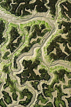 Aerial view of marshes with Seaweed exposed at low tide, Bahía de Cádiz Natural Park, Cádiz, Andalusia, Spain, February 2009