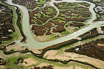 Aerial view of river in marshes at low tide exposing Seaweed, Baha de Cdiz Natural Park, Cdiz, Andalusia, Spain, February 2009.