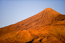 Teide volcano (3,718m) at sunset from Montaa Samara, Teide National Park, Tenerife, Canary Islands, Spain, December 2008