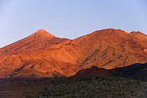 Teide volcano (3,718m) with Pico Viejo volcano (2,909m) to the right, from Montaa Samara, at sunset, Teide National Park, Tenerife, Canary Islands, Spain, December 2008