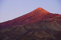 Teide volcano (3,718m) at sunset from Montaa Samara, Teide National Park, Tenerife, Canary Islands, Spain, December 2008