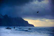 Wild coast on a stormy day, Benijo, Anaga Peninsula, North East Tenerife, Canary Islands, Spain, December 2008