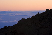 Sea of clouds from the Teide volcano at sunset, Teide National Park, Tenerife, Canary Islands, Spain, December 2008