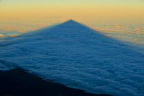 Shadow of the Teide volcano in sea of clouds at sunset, Teide National Park, Tenerife, Canary Islands, Spain, December 2008