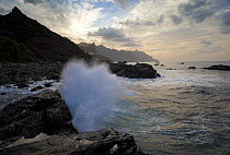 Wave breaking on rock along coast on a windy day, Benijo, Anaga Peninsula, North East Tenerife, Canary Islands, Spain, December 2008