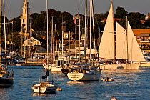 Yachts moored in Newport Harbour, Rhode Island, USA. 2009.