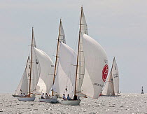 Yachts racing at the 6 Metre Class World Championships. Newport, Rhode Island, USA. September 2009.