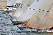 Bows of fleet racing during the 6 Metre Class World Championships. Newport, Rhode Island, USA. September 2009.