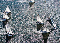 Aerial view of fleet racing at the New York Yacht Club Invitational Regatta, Newport, Rhode Island. September 2009.