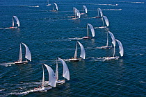 Fleet racing under spinnaker at the New York Yacht Club Invitational Regatta, Newport, Rhode Island. September 2009.